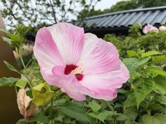 -成都市文化公园