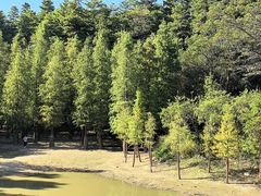 -广州市帽峰山景区