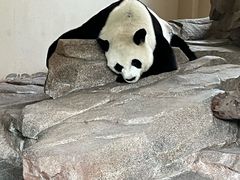 -宁波野生动物园