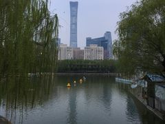 -团结湖公园