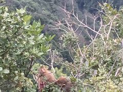 -重庆云阳龙缸景区