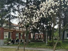 -四川大学(望江校区)