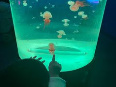 -苏州海洋馆