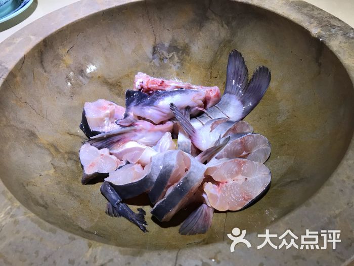 白江团鱼