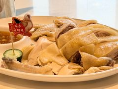 -龙泉人椰子鸡.糟粕醋.海南菜(三亚旗舰店)