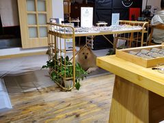 -肆兮眼镜·蔡司·徕卡战略合作店(大坪店)