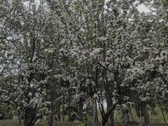 -元大都城垣遗址公园