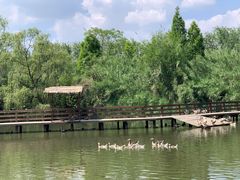 -溱湖国家湿地公园