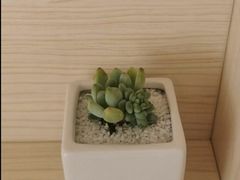 -蜜蜂读书·24h自习室(角门西店)