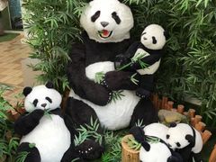 -济州岛泰迪熊博物馆