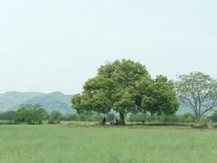 -良渚古城遗址公园