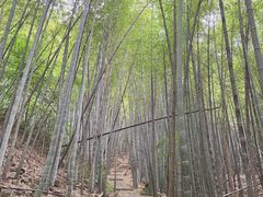 -穹窿山景区