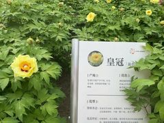 -太阳宫公园
