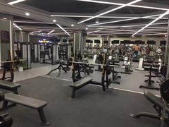 -金吉鸟健身游泳