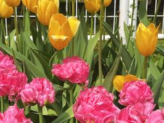 -国家植物园南园