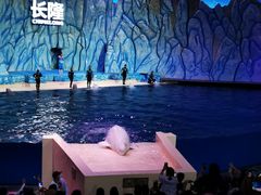 -珠海长隆海洋王国