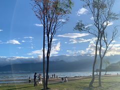 -洱海月湿地公园