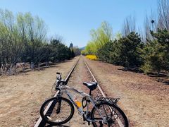 -永定河休闲森林公园