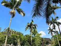 -中国科学院西双版纳热带植物园