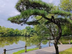 -新荣记(西溪湿地店)