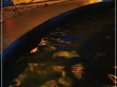 -剑河仰阿莎温泉小镇