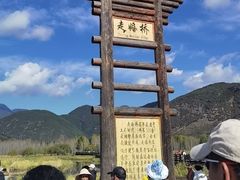 -泸沽湖国家级风景名胜区走婚桥