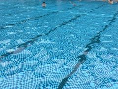 -菲鱼体育恒温游泳馆(中海名城店)