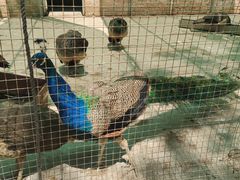 -金龙寺国家森林公园