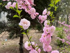 -长春市南湖公园