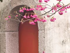 -乌山风景区