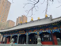 -护国法轮寺