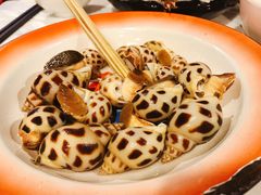 -鲜入围煮花胶鸡海鲜火锅