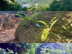 -火炉山森林公园