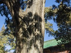 -中岳庙