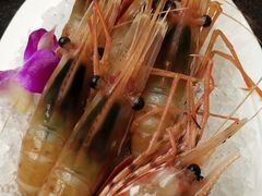 牡丹虾刺身-德川家日本料理(中关村寰太大厦店)