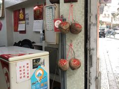 -洪馨椰子