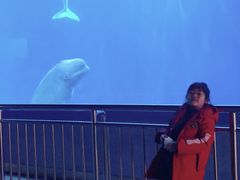 -多彩贵州城极地海洋世界