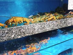 水产区-宝燕海鲜(好爱店)