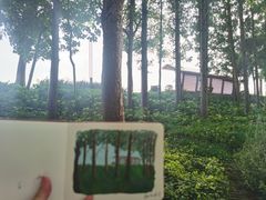 -八哥美术·成人美术画室(总校区)