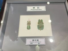-上海昆虫博物馆