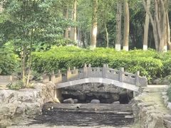 -赭山公园