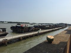 -大湾区中央湿地公园-十九涌
