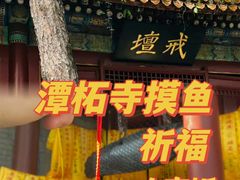 -潭柘寺景区