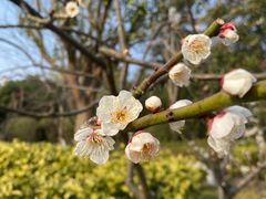 -狼山风景名胜区