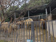 -泉州海丝野生动物世界
