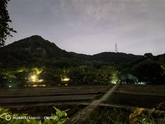 -八卦田遗址公园
