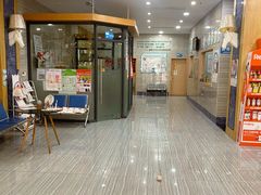 -瑞派名望志远动物医院·猫科·內科·异宠专科(直港大道店)