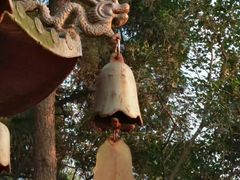 -泰州凤城河风景区-泰山公园