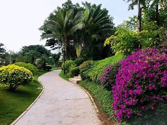 -三亚凤凰水城凯莱度假酒店