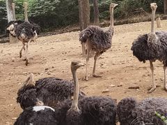 -杭州野生动物世界